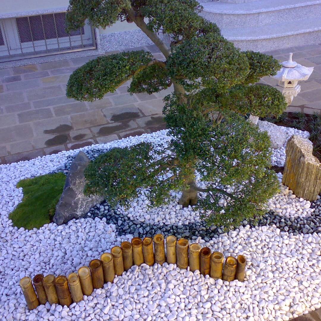 Andrea Carminato - Realizzazione e manutenzione giardini zen