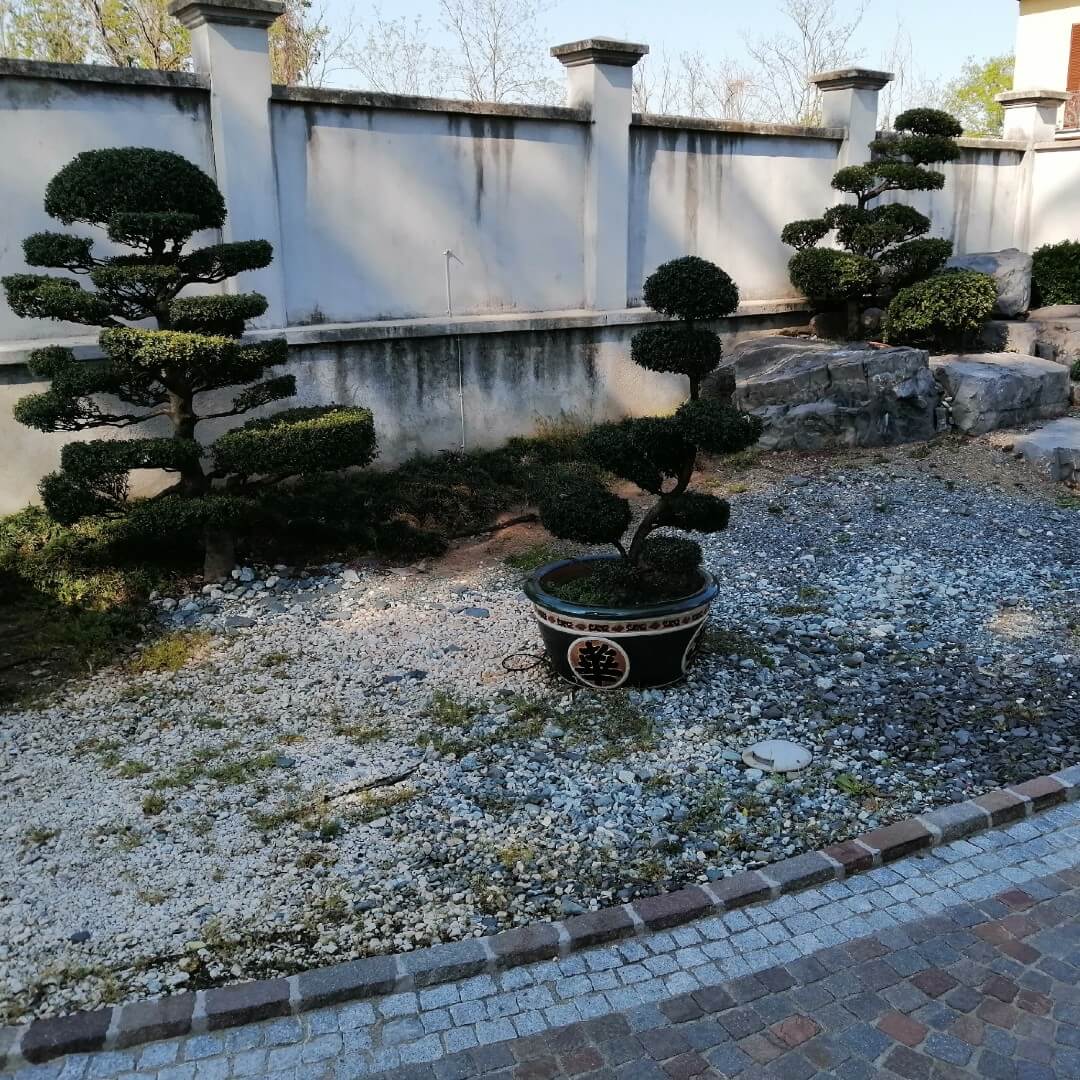 Andrea Carminato - Realizzazione e manutenzione giardini zen