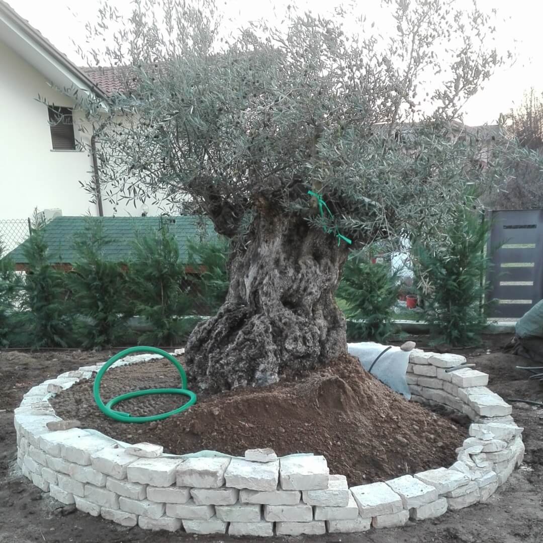 Andrea Carminato - Realizzazione e manutenzione giardini