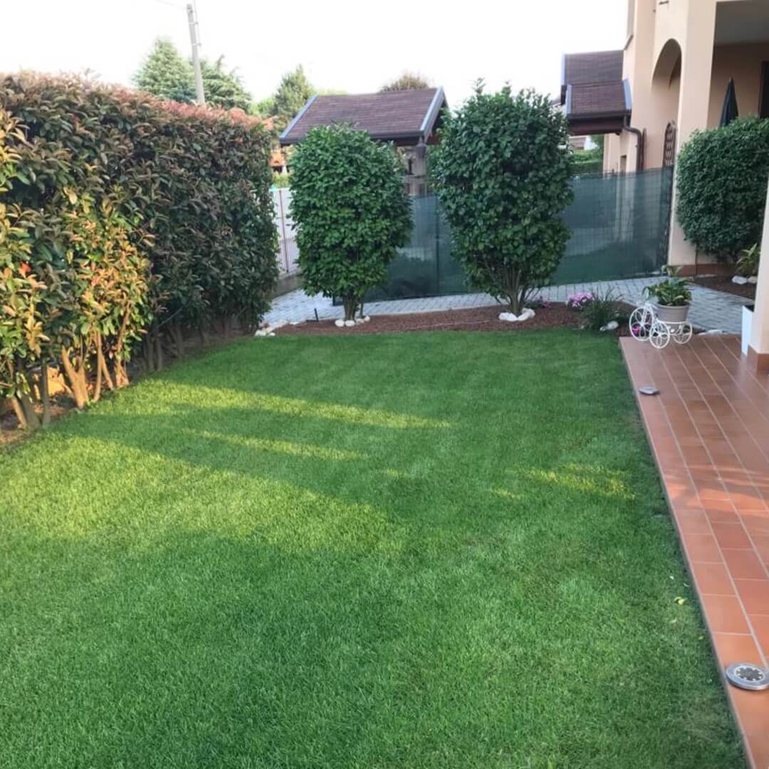 Andrea Carminato - Realizzazione e manutenzione giardini