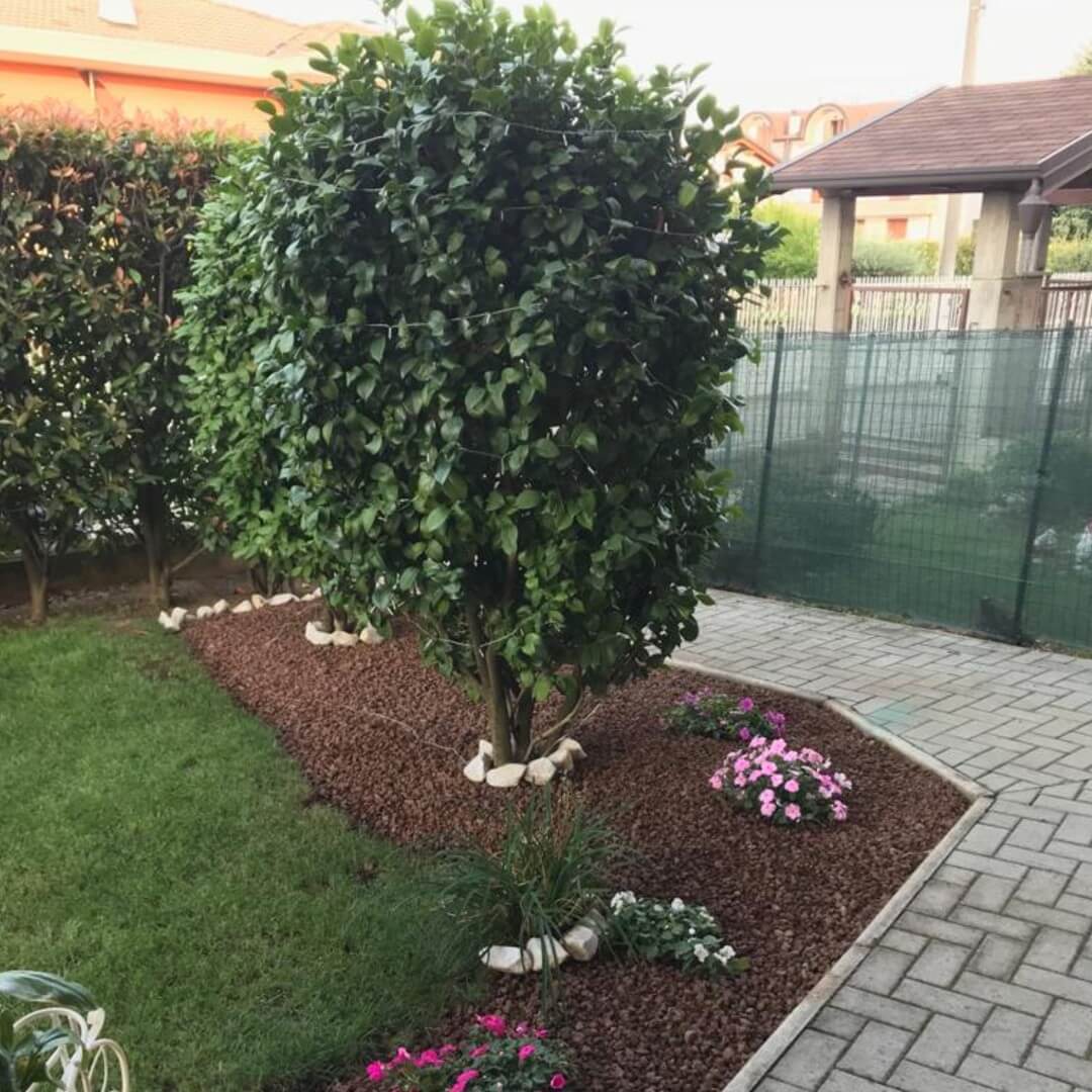 Andrea Carminato - Realizzazione e manutenzione giardini