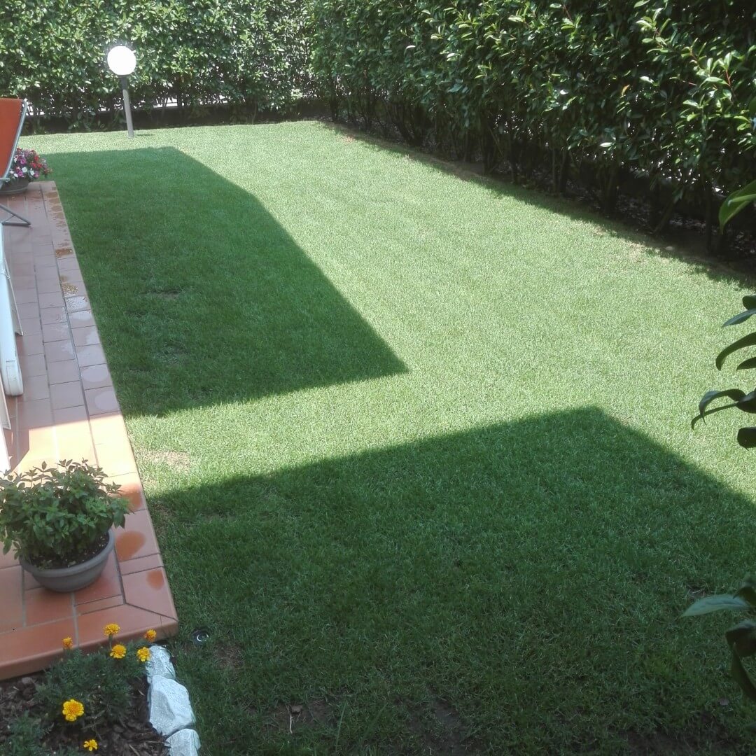 Andrea Carminato - Realizzazione e manutenzione giardini