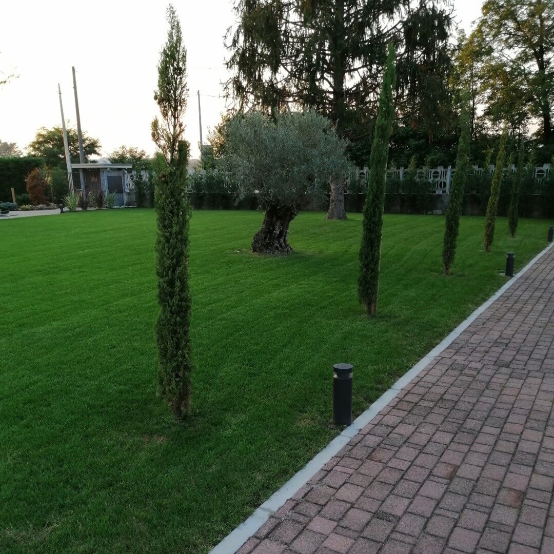 Andrea Carminato - Posa prato a rotoli e prato sintetico
