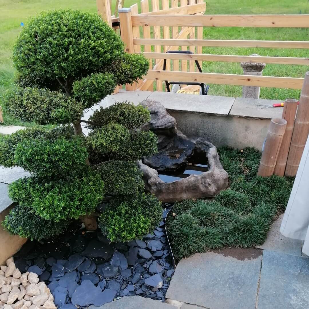 Andrea Carminato - Realizzazione e manutenzione aiuole