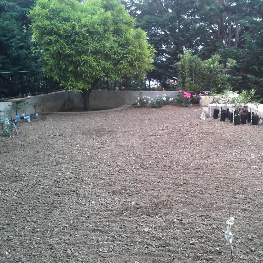 Andrea Carminato - Realizzazione e manutenzione giardini