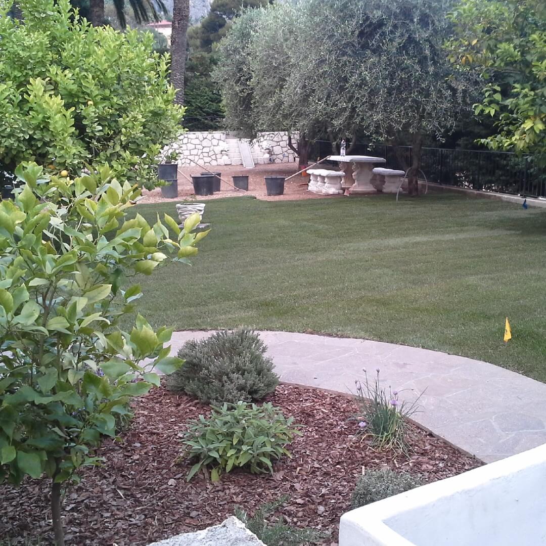 Andrea Carminato - Realizzazione e manutenzione giardini