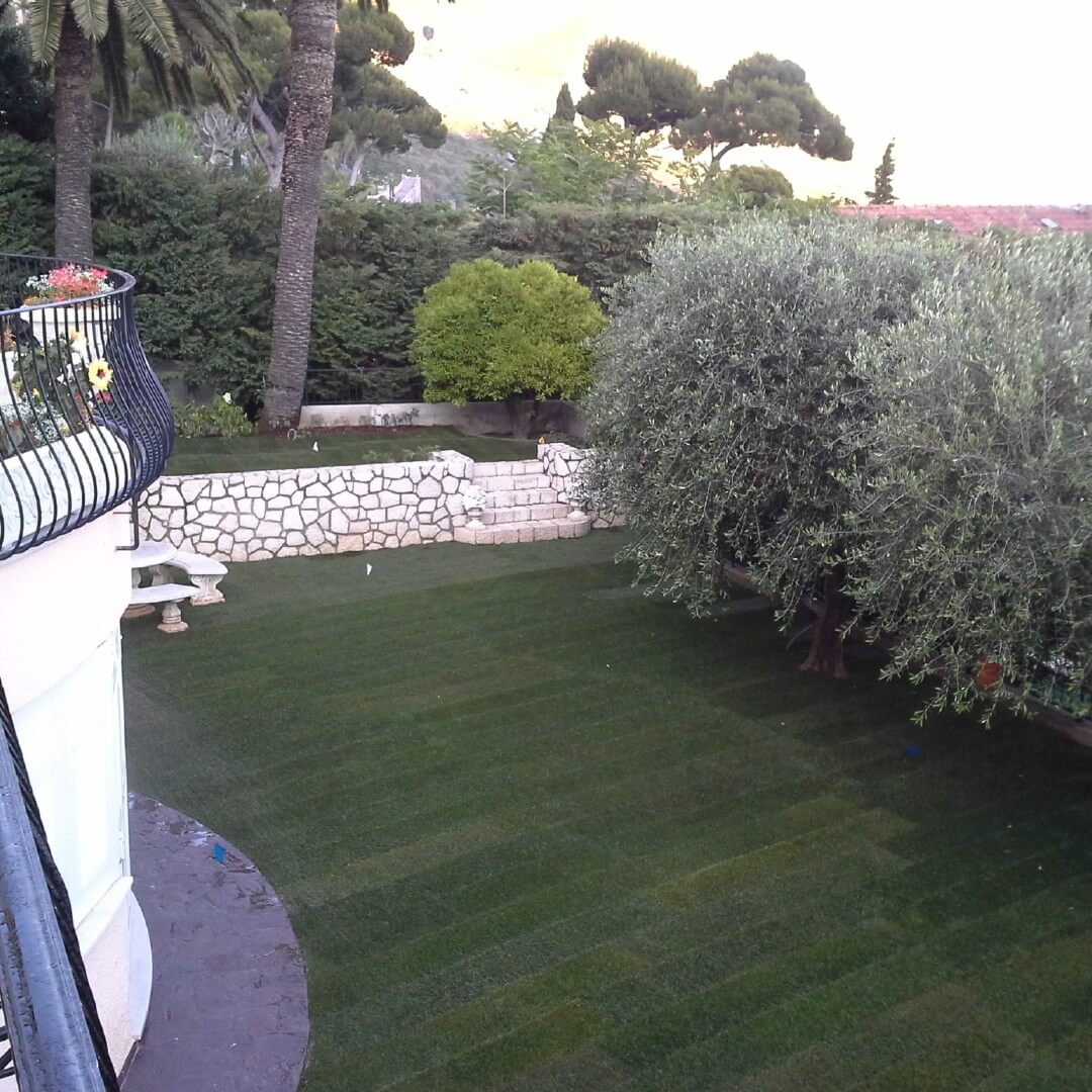 Andrea Carminato - Realizzazione e manutenzione giardini